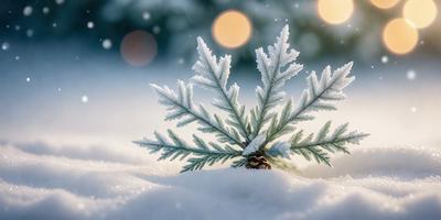 The primary subject of the image is a small, delicate tree branch covered in snow. The setting is a snowy environment, with the tree branch being the main focus of the image. The visual style is a photo, capturing the beauty of the snow-covered tree branch. The dominant colors are white, representing the snow, and green, representing the tree branch. The overall atmosphere is serene and peaceful, as the snow-covered tree branch stands tall against the backdrop of the snowy landscape.